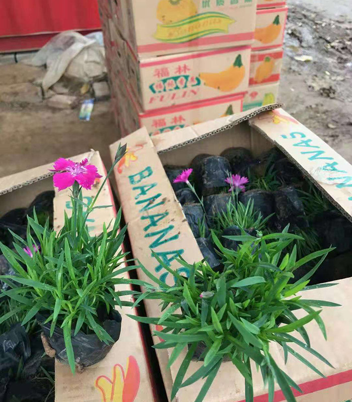 發(fā)貨現(xiàn)場(chǎng)